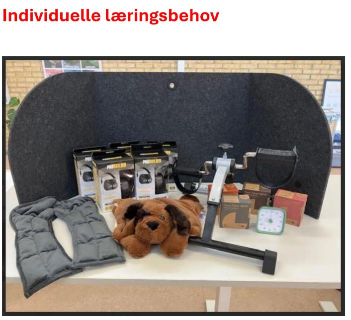 individuelle læringsbehov