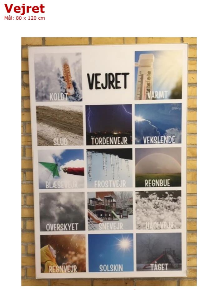 vejret 80 x 120 cm billede
